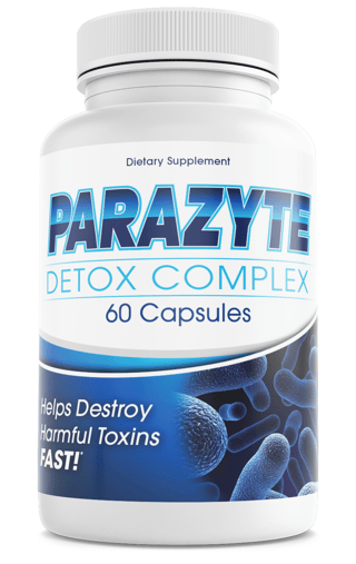 ParaZyte Intestine Support With Wormwood Dietary Supplement 60 Capsules — photo 1