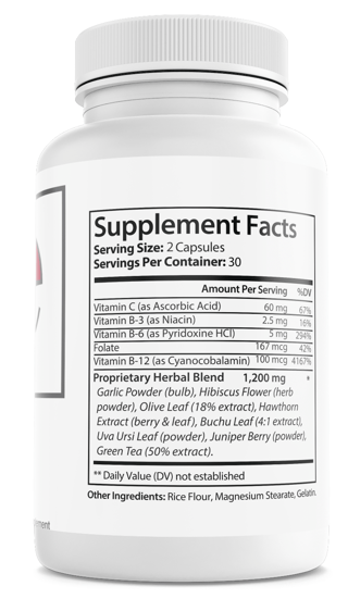 Everyday BP Blood Health Support Supplement 60 Capsules — photo 2