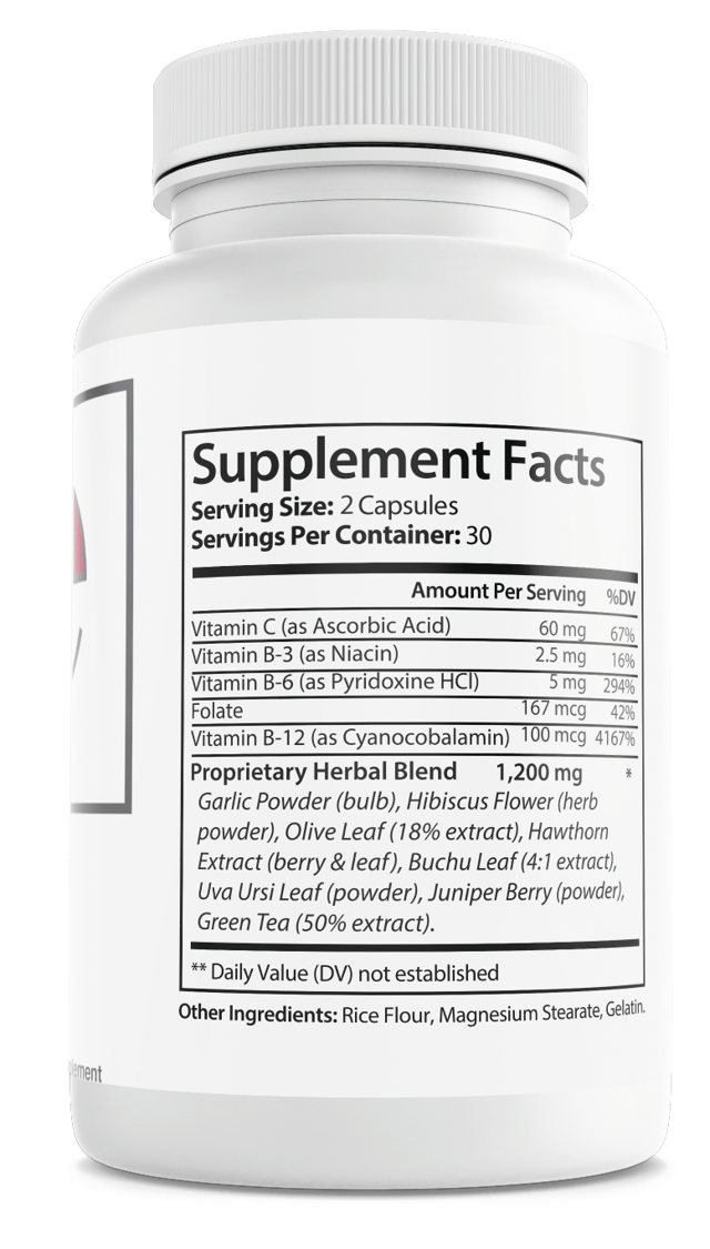 Everyday BP Blood Health Support Supplement 60 Capsules — photo 2